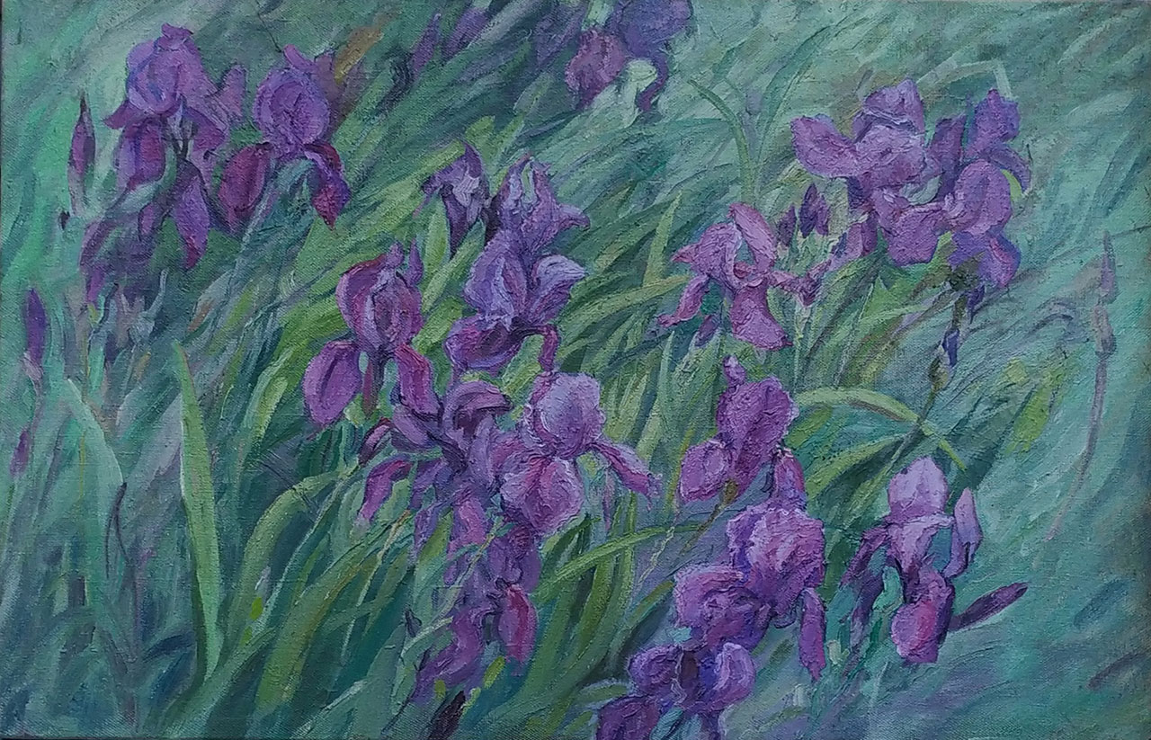 Irisis of Batieva Gora by Anatoliy Gorets (2008), Image