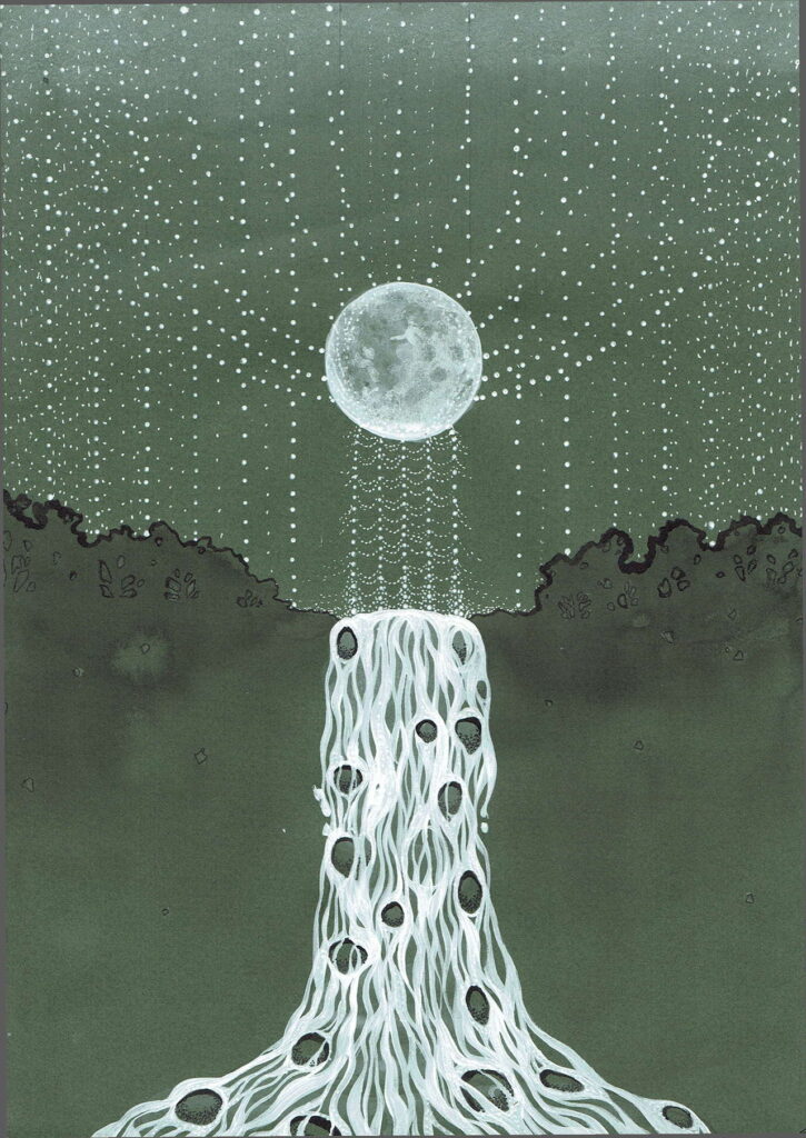 The moon weaves brocade for the river Tatsuta, Image