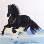 Black Horse In The Snow By Alina Aradhana, Image (2018)