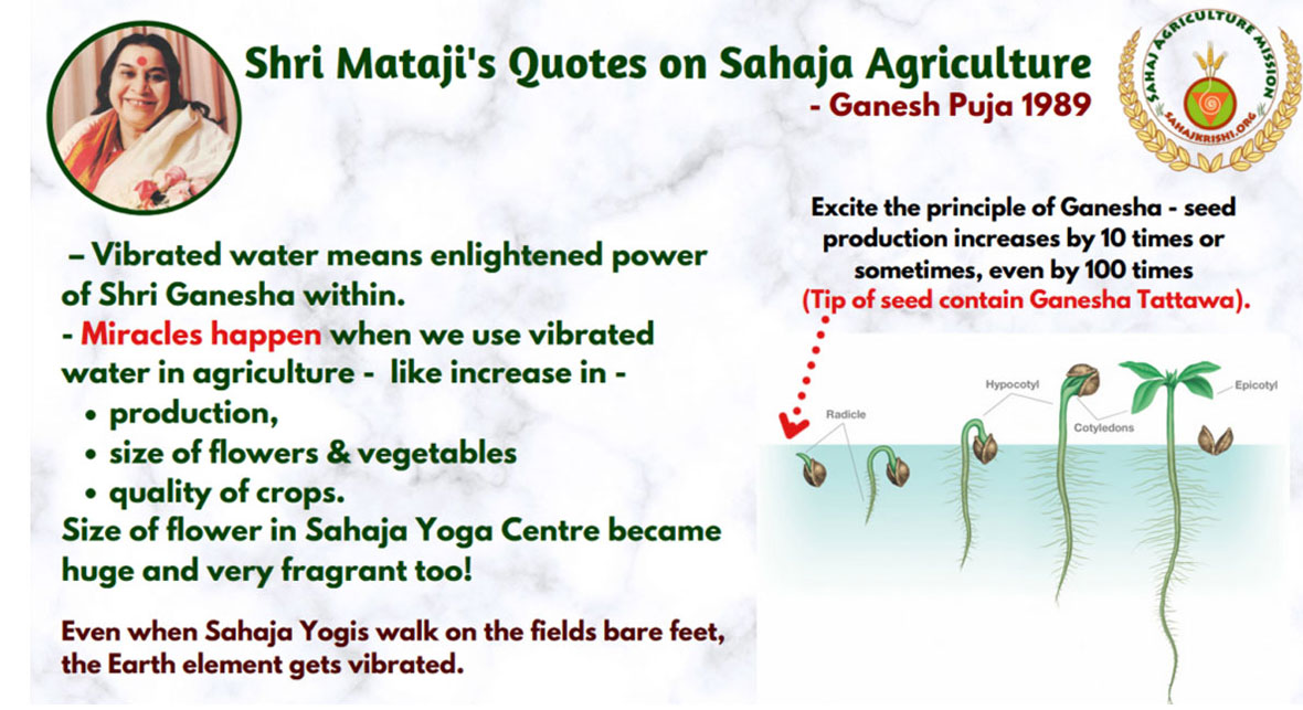 Shri Mataji Nirmala Devi's Quotes About Sahaja Agriculture-2, Photo