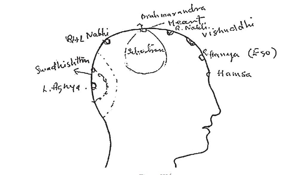 Display Of The Chakras On The human Head-2 By SHRI MATAJI NIRMALA DEVI, Shri Mataji Pictures