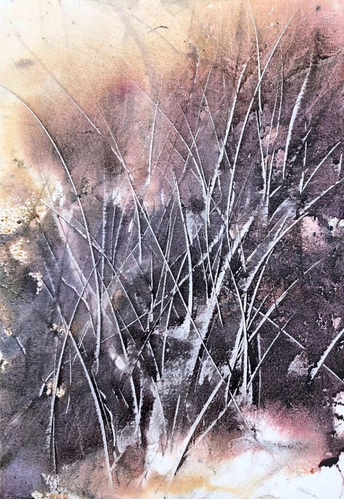 Prasad-Beaven-bloom-4, Image