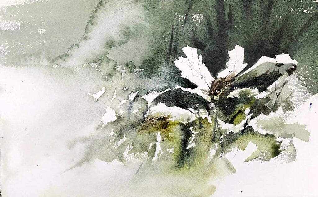 Prasad-Beaven-bloom-5, Image