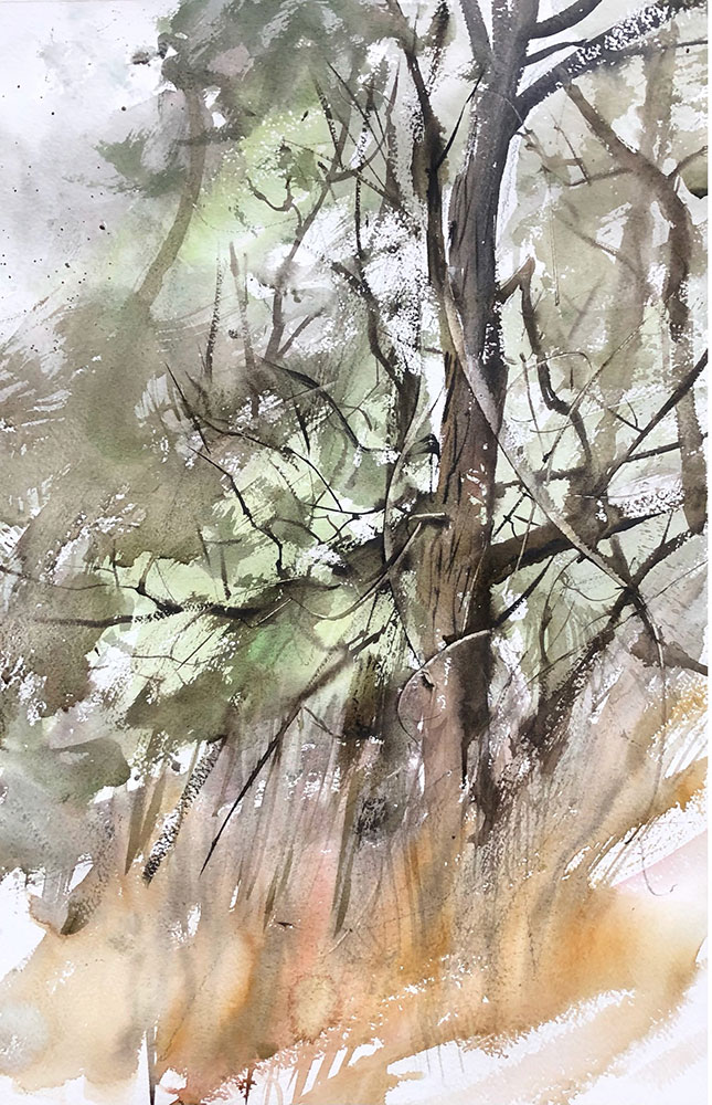 PRASAD-Beaven-Tree-in-Spring-2022-Image — NirmalaCulture